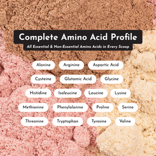 Matcha Mint Protein Powder - By Baano