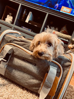 Mr. Peanut's Platinum Series Expandable Pet Carrier Mr. Peanut's Pet Carriers