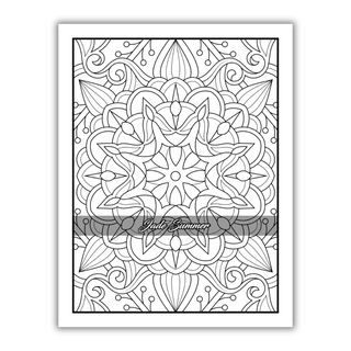 100 Amazing Patterns: An Adult Coloring Book with Fun, Easy, and Relaxing Coloring Pages (Spiral Bound) - By Baano