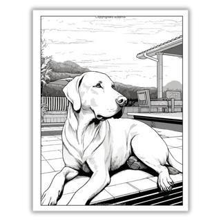 101 CALMNESS: Adult Coloring Book (Spiral Bound) - By Baano
