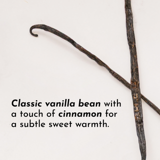 Vanilla Bean Protein Powder - By Baano