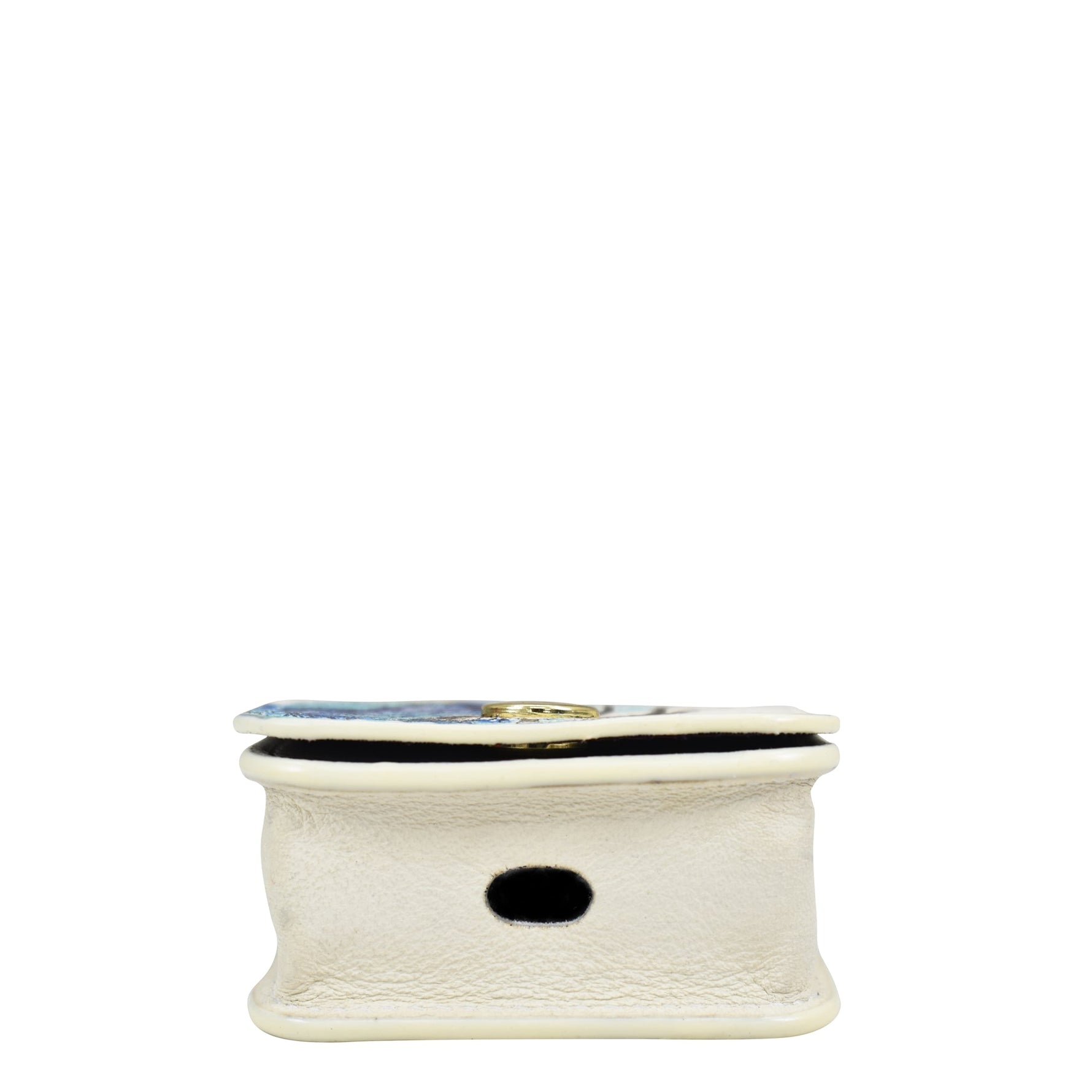 Airpod Pro Case - 1179 Anuschka