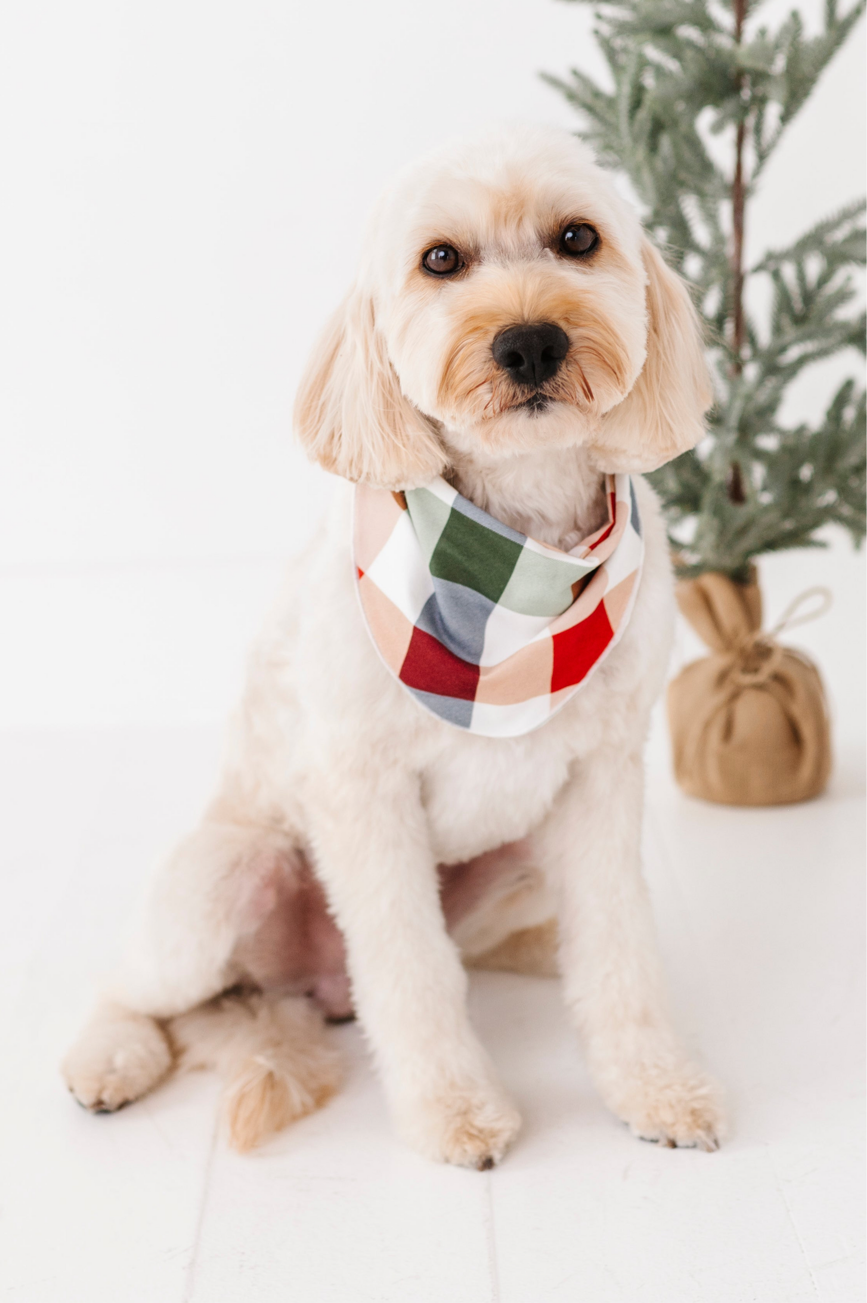 Holiday Plaid | DOG BANDANNA - By Baano