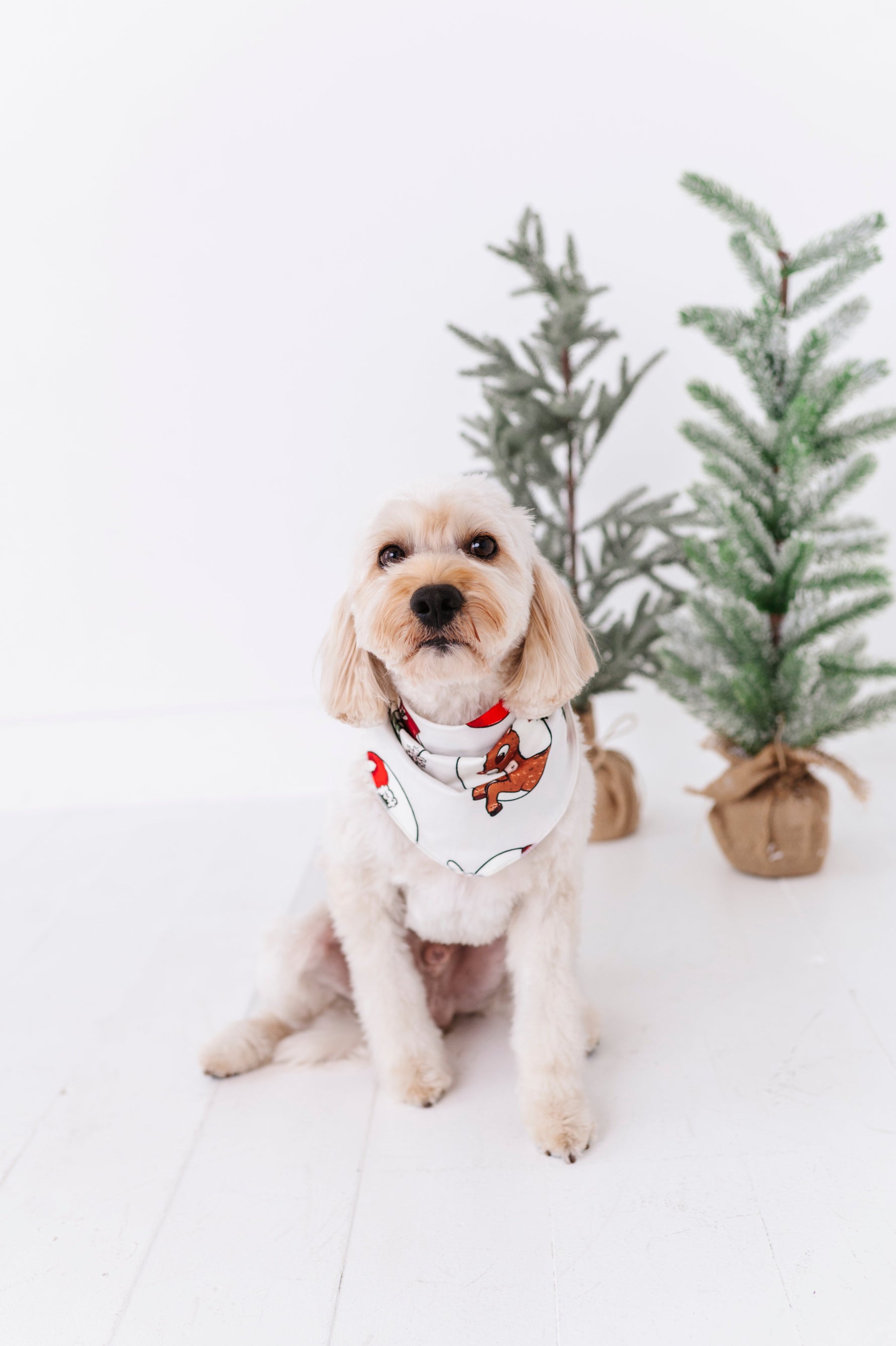 Classic Characters | DOG BANDANNA - By Baano