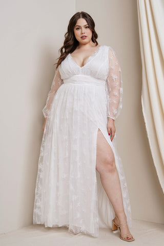 Flock Mesh Deep V-neck Long Sleeve Maxi Dress