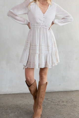 Dreamy Sheer Swiss Dot Long Sleeve Mini Dress