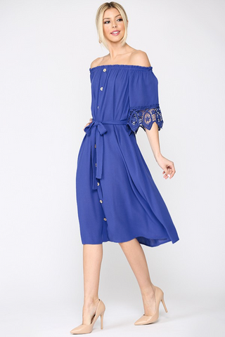Royal Lace Flare Dress