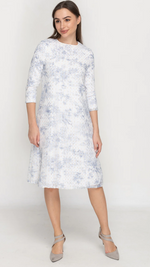Blue Toile Dress