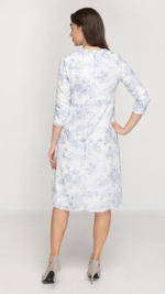 Blue Toile Dress