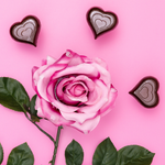 PRE-ORDER: Dark Chocolate Brownie Batter Hazelnut Butter Hearts (3 Bags)