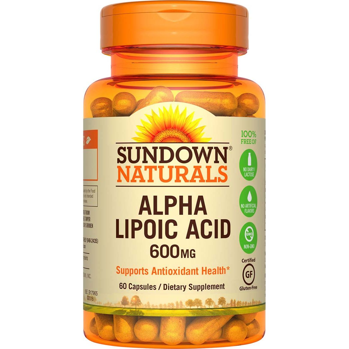 Sundown Naturals Super Alpha Lipoic Acid Capsules, 600 Mg
