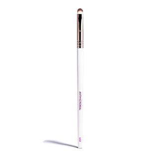 Pro Antimicrobial Smudge Brush U10