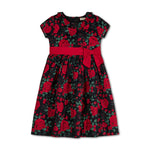 Ruffle Collar Party Dress - Baby - Glamourous Grace