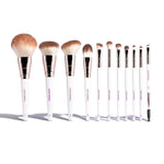Professional Antimicrobial Brush Set  (11+) - By Baano