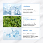 Dr. Althea Aqua Glowing Sunscreen SPF50+ PA++++