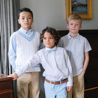 Organic Cricket Sweater Vest Hope & Henry