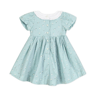 Linen Ruffle Collar Dress - Glamourous Grace