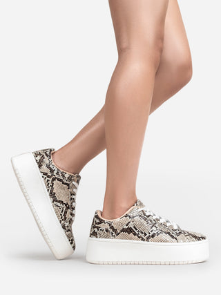 Hero | Brown Python