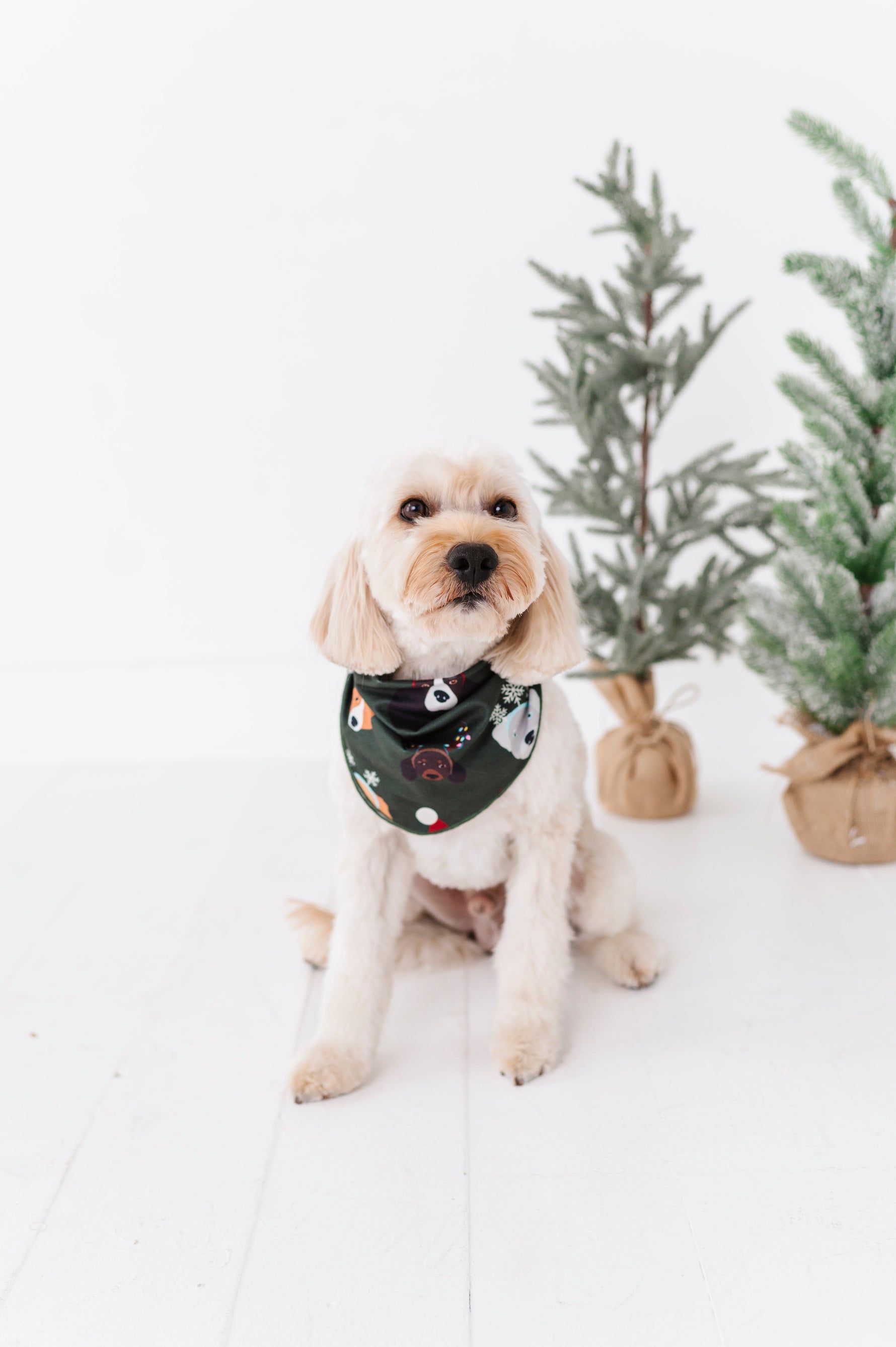 Christmas Doggies | DOG BANDANNA - By Baano