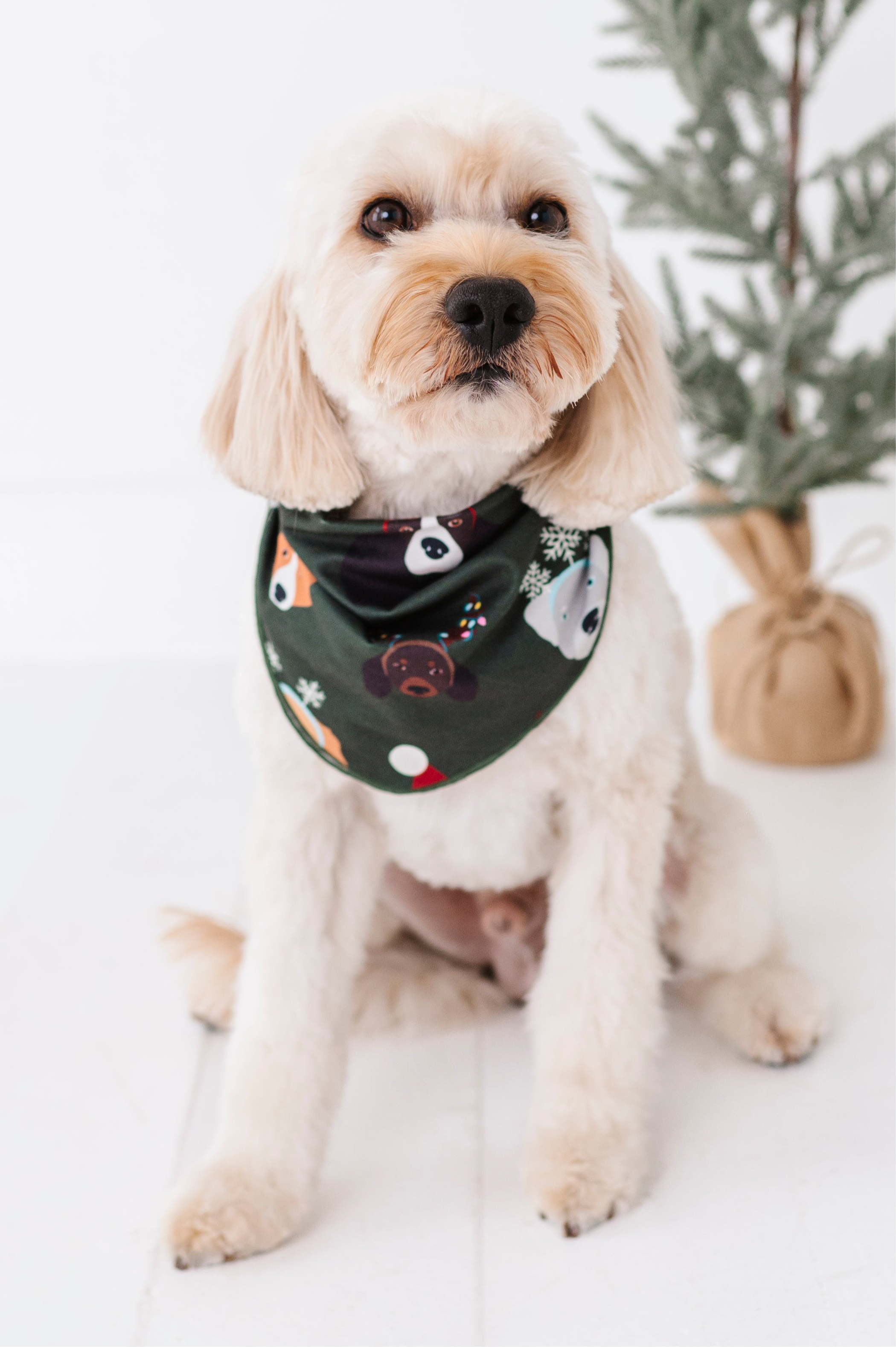 Christmas Doggies | DOG BANDANNA - By Baano
