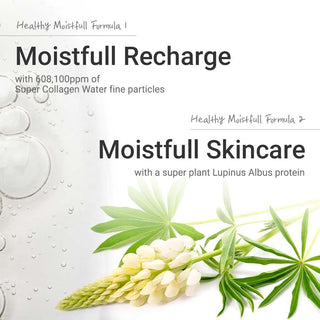 ETUDE Moistfull Collagen Cream - By Baano