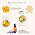 ILIKA Lip balm Organic, Vegan, Plastic-free, 100% Plant-based, 2X Volume, COSMOS Certified Organic, PETA Certified Vegan & Cruelty-Free, 2 Pack, Orange Tangerine - By Baano