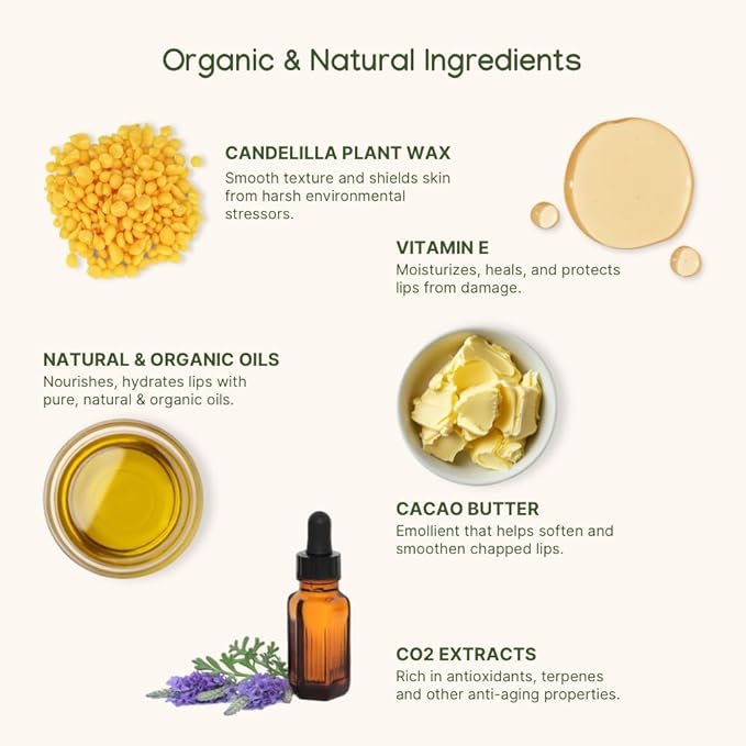 ILIKA Lip balm, Organic, 100% Plant-based, Natural Lip Treatment, COSMOS Certified Organic, PETA Certified Vegan & Cruelty-Free 2 Pack, Ginger Lemon & Almond Cardamom Rose - By Baano