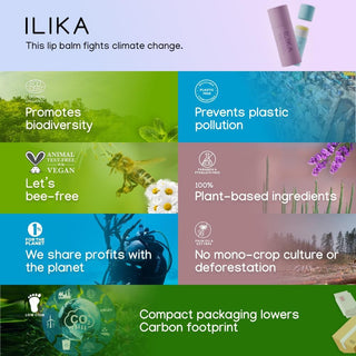 ILIKA Lip balm, Organic, 100% Plant-based, Natural Lip Treatment, COSMOS Certified Organic, PETA Certified Vegan & Cruelty-Free 2 Pack, Ginger Lemon & Almond Cardamom Rose - By Baano