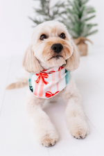 Bows | DOG BANDANNA - By Baano