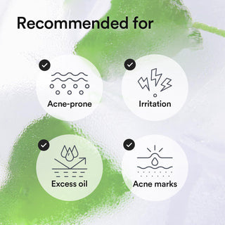 Abib Heartleaf TECA Capsule Serum - By Baano