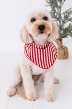 Red Stripes | DOG BANDANNA - By Baano