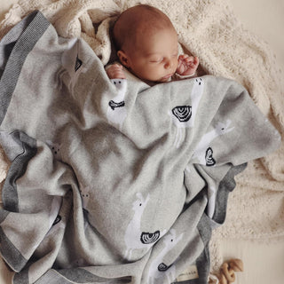 Whimsy Collection - Luxury 100% Cotton Knit Swaddle Baby Blanket