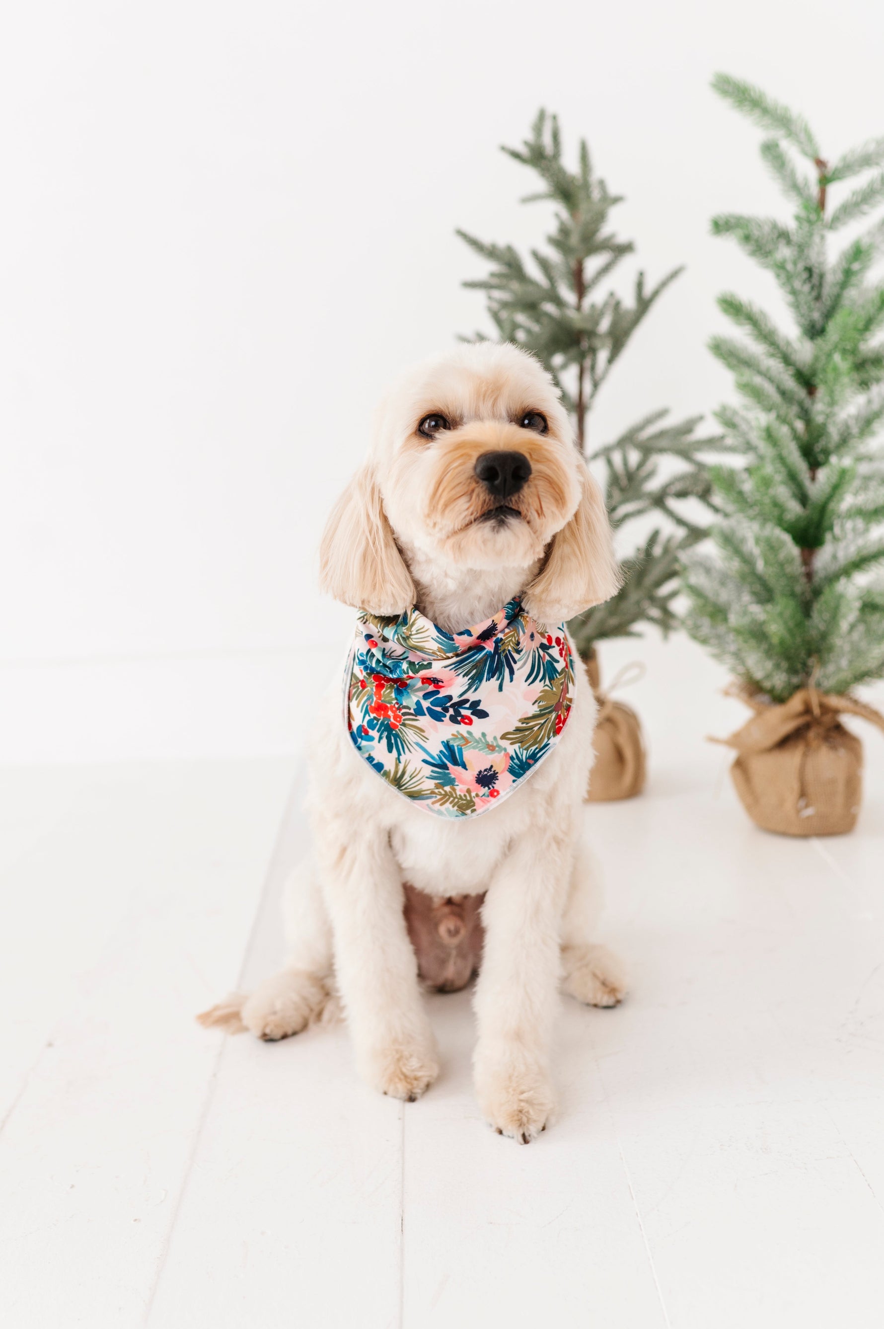 Holly Floral | DOG BANDANNA - By Baano
