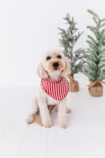 Red Stripes | DOG BANDANNA - By Baano