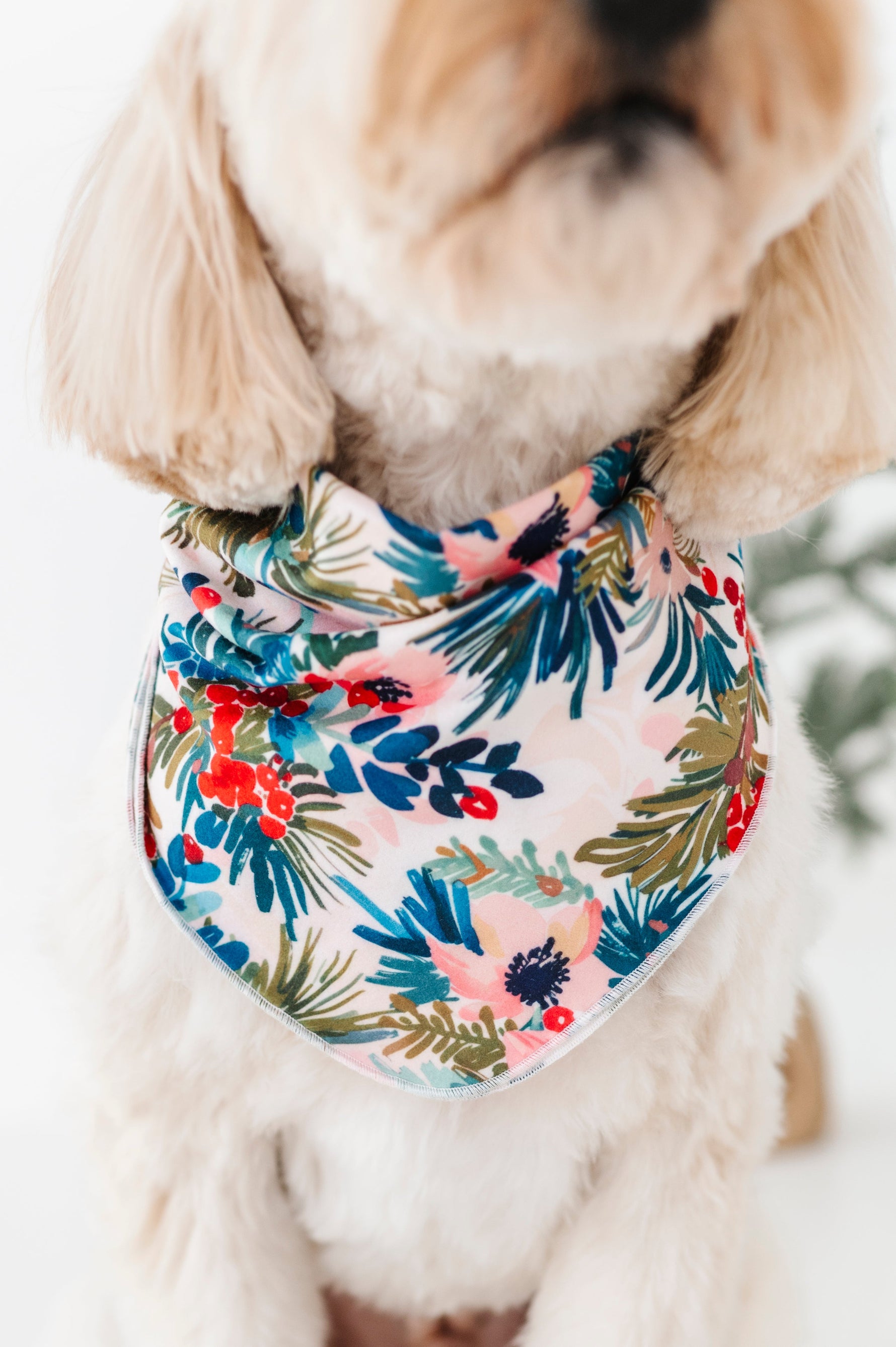 Holly Floral | DOG BANDANNA - By Baano