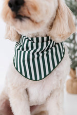 Green Stripes | DOG BANDANNA - By Baano
