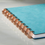 Aluminum Circa Notebook Discs (set of 11)