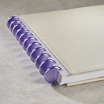 Aluminum Circa Notebook Discs (set of 11)