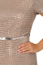 Adriann Papell Sequin Short Sleeve With Embellished Waist In Silver Column Gown (Plus Size)