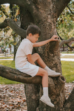 Alexander- Beige Suede Boy Dress Shoes