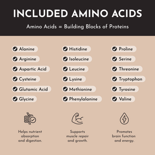 Creamy Peanut Butter Chocolate Protein Powder Stick - By Baano