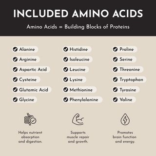 Vanilla Bean Protein Powder Stick - By Baano