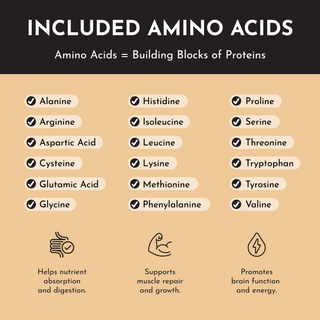 French Vanilla Protein Powder Stick - By Baano