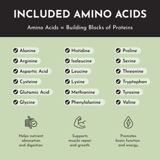 Mint Chocolate Protein Powder Stick - By Baano