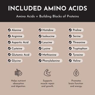 Chocolate Protein Powder Stick - By Baano