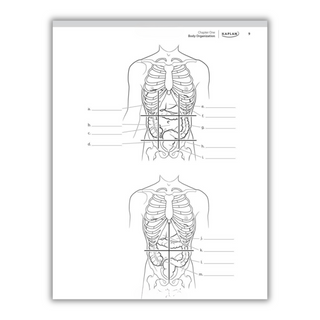 Anatomy Coloring Book: 10th Edition (Spiral Bound) - By Baano