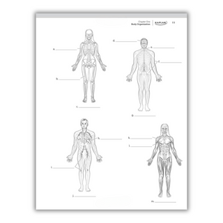 Anatomy Coloring Book: 10th Edition (Spiral Bound) - By Baano