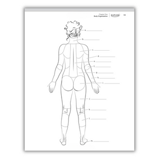 Anatomy Coloring Book: 10th Edition (Spiral Bound) - By Baano