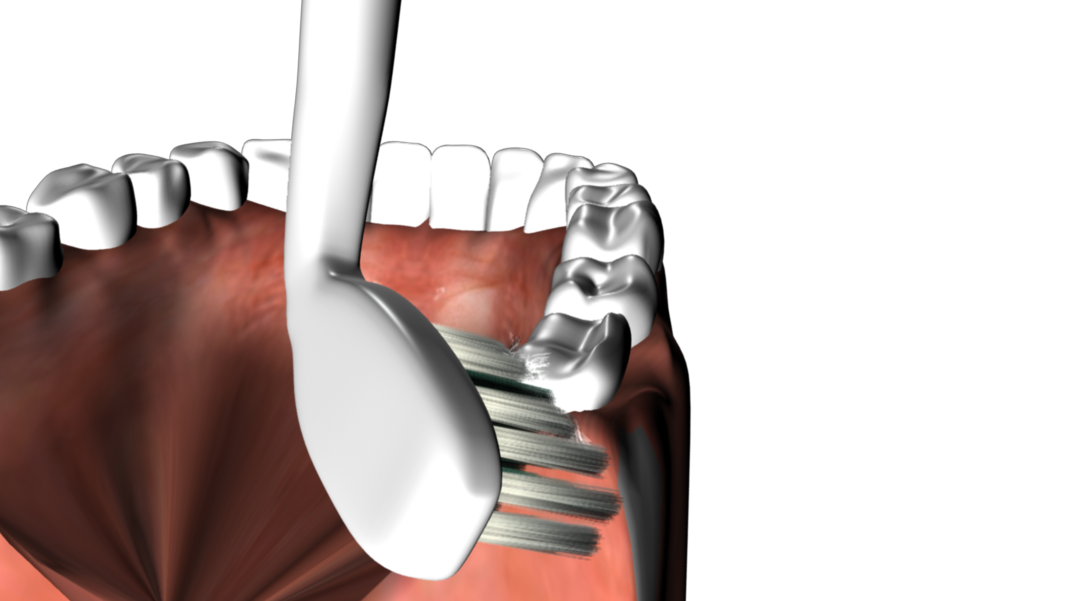 Replacement Toothbrush Head Cleaning White (Pack of 2) - By Baano