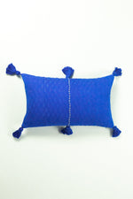 Antigua Pillow - Medium Blue / Fuchsia